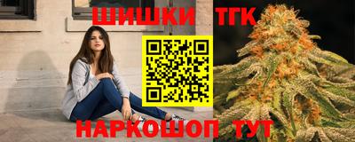 МДПВ Гусев