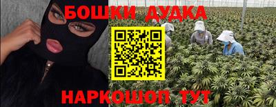 МДПВ Гусев