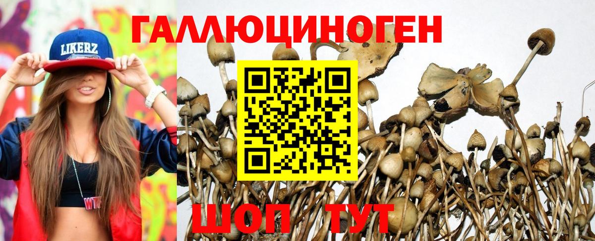 Нижний Новгород  Галлюциногенные грибы Cubensis  что такое наркотик  Вход с VPN 